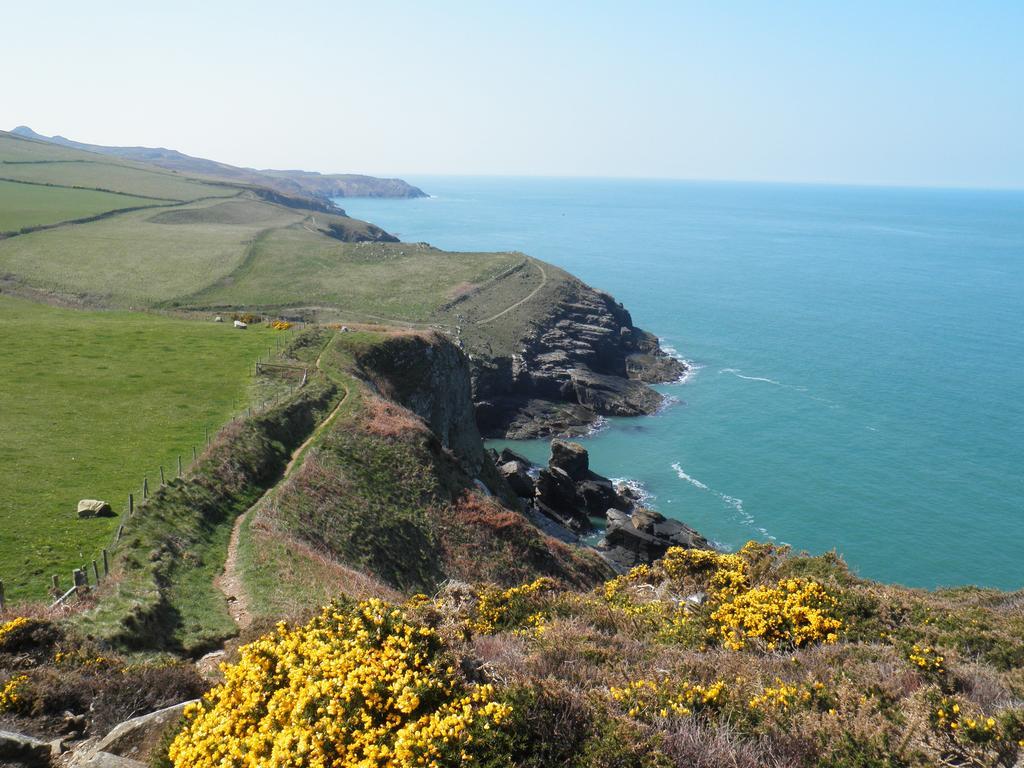 Fern Villa B&B Fishguard Eksteriør billede