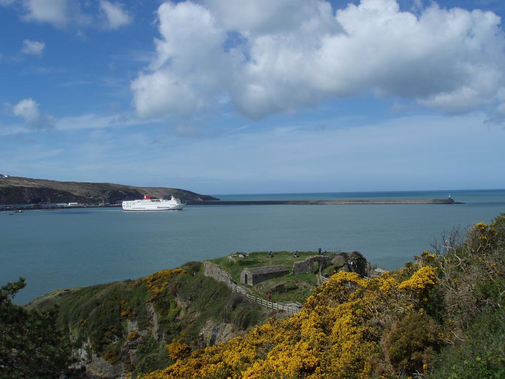 Fern Villa B&B Fishguard Eksteriør billede