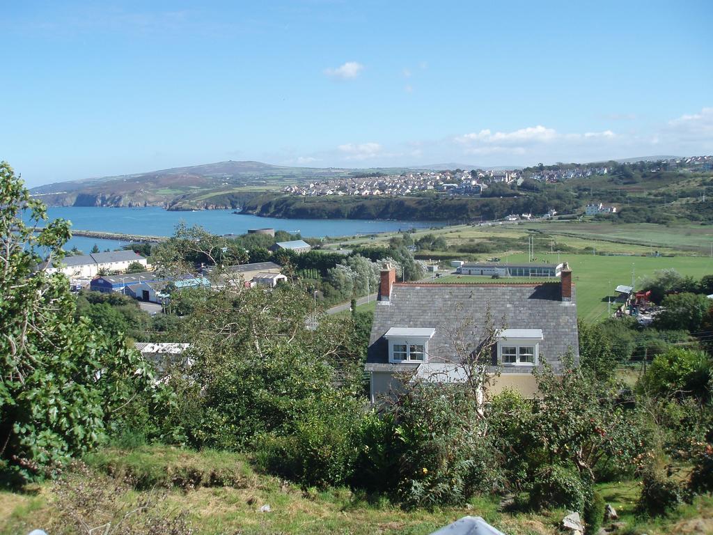 Fern Villa B&B Fishguard Værelse billede